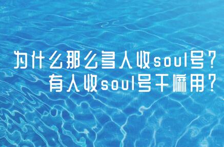 为什么那么多人收soul号？有人收soul号干嘛用？一个号能卖多少钱？ 第1张